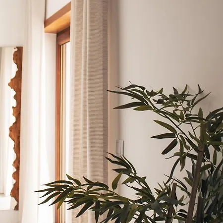 Bed and breakfast Boutique Serena Vista