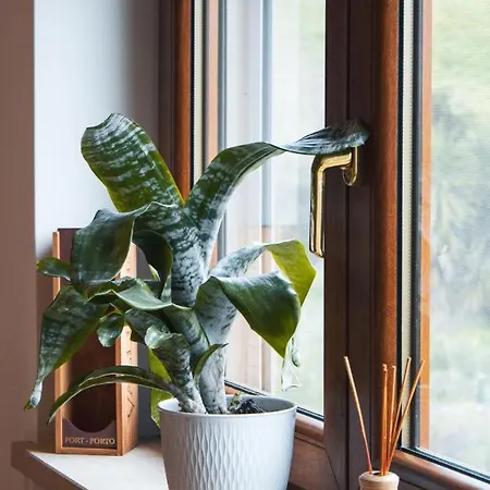 Boutique Serena Vista