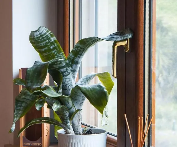 Boutique Serena Vista